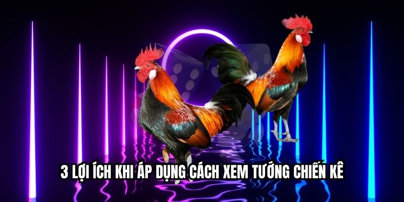 যুদ্ধ মোরগ দেখা সামগ্রিক যুদ্ধ পরিকল্পনা পর্যবেক্ষণ করতে সাহায্য করে