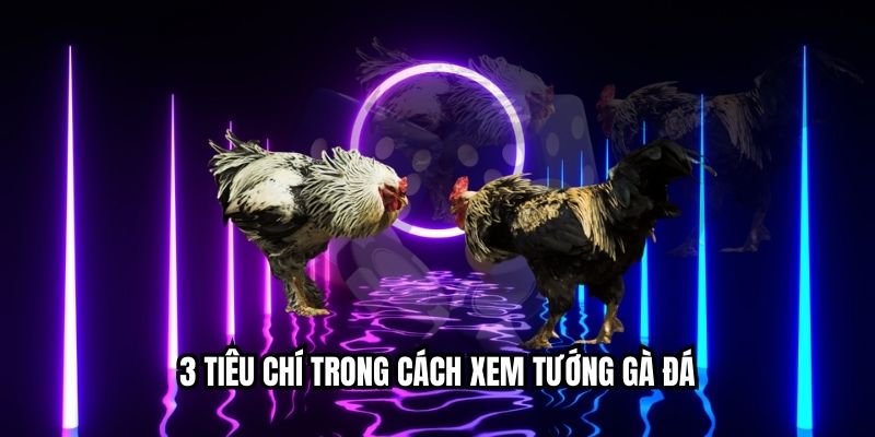 শারীরিক গঠন বিশ্লেষণে ৩টি প্রধান মানদণ্ড