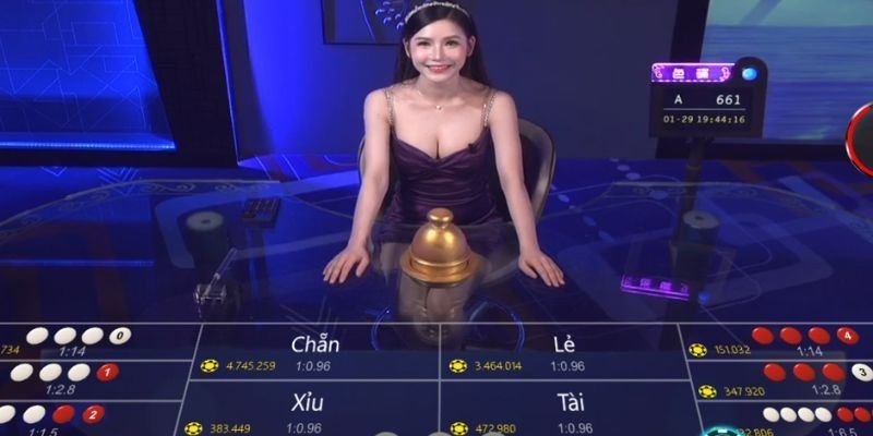 আকর্ষণীয় এবং শীর্ষস্থানীয় গেমের স্বর্গরাজ্য