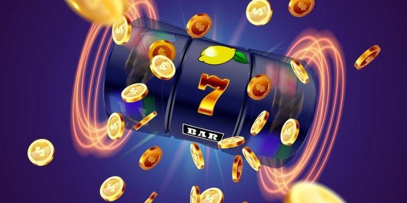 প্রোমোশন কার্যক্রমের তথ্য