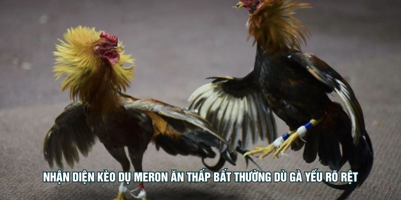 শেষ 10 সেকেন্ডে প্রতিকূলতা অস্বাভাবিকভাবে পরিবর্তিত হলে প্রতিকূলতা এড়ানোর কৌশল