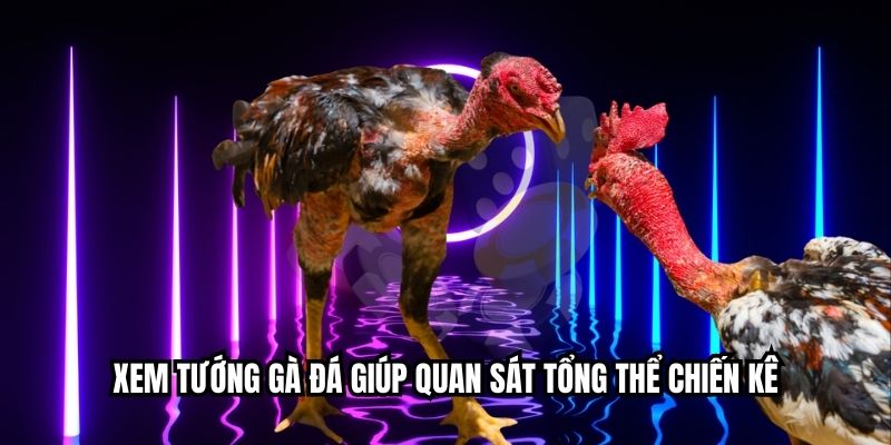 জেনারেলদের দেখার জন্য কৌশল প্রয়োগের 3টি সুবিধা